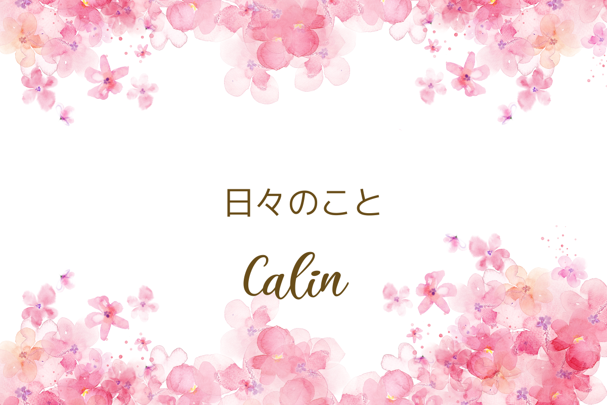 日々のこと
